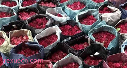 玫瑰價(jià)格飆升，曼谷清邁花卉市場面臨挑戰(zhàn)