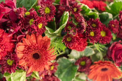 黃玫瑰之韻 婚禮與節(jié)慶花卉營銷的藝術(shù)