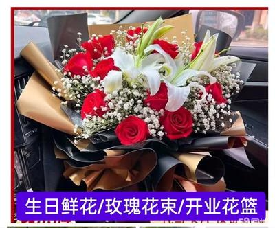 銀川興慶區解放西街 探尋蕁麻科植物的魅力與市場指南